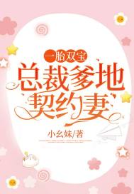 一胎双宝:总裁爹地契约妻